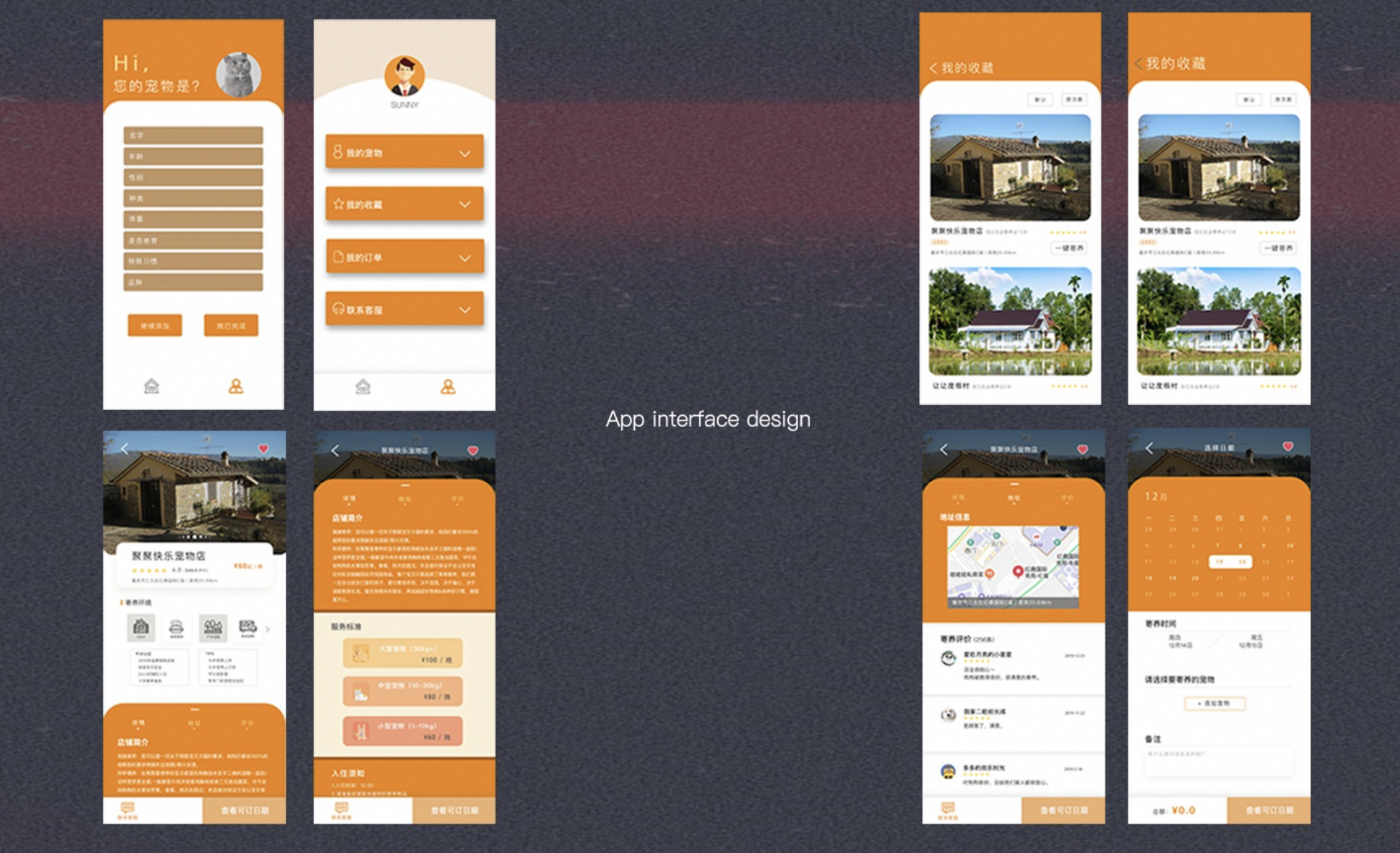 Orange and white pet-service mobile app interface design board
